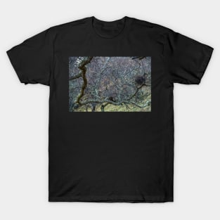 Thicket T-Shirt